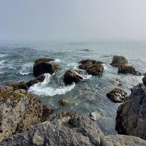 Meet your Posher, Kylie